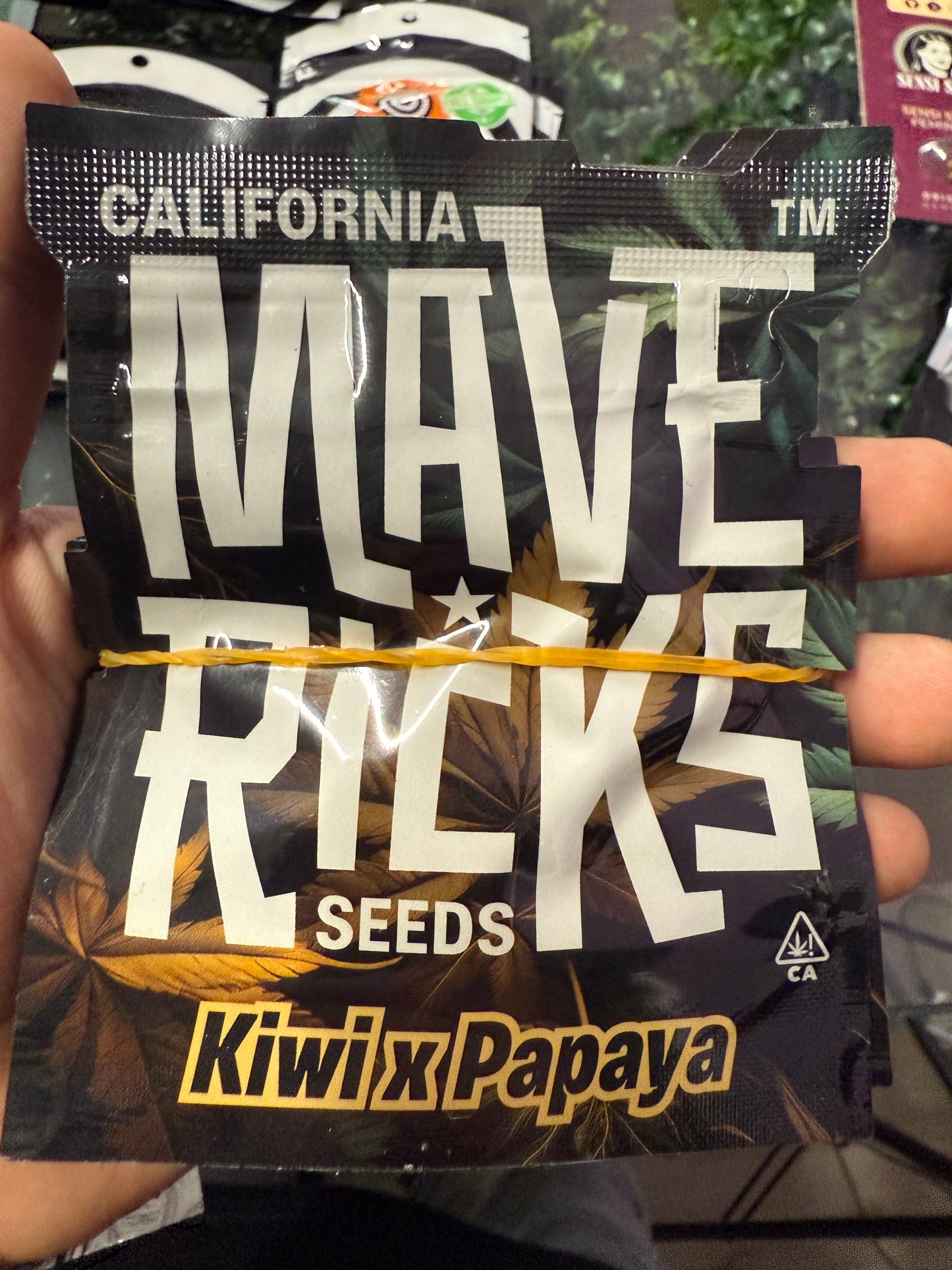 Kiwi X Papaya - Maverick genetics 1u