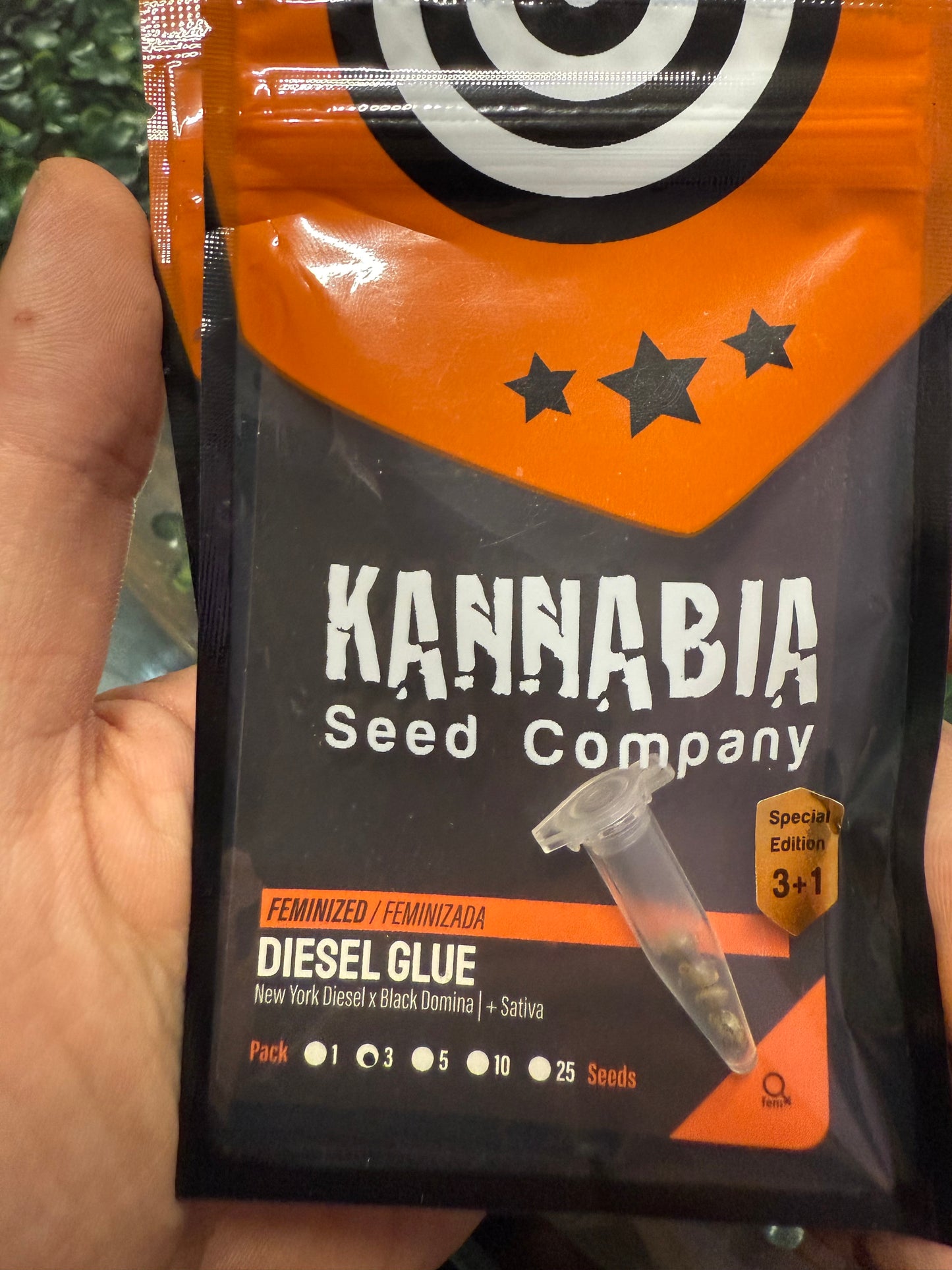 Diesel glue - Kannabia 3+1